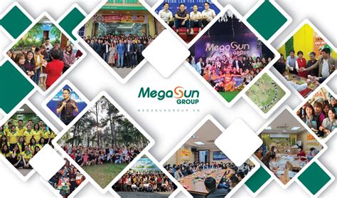 mega sun group|Tuyển [Tuyển Gấp] Dựng Video (Edit Video) tại Megasun Group .